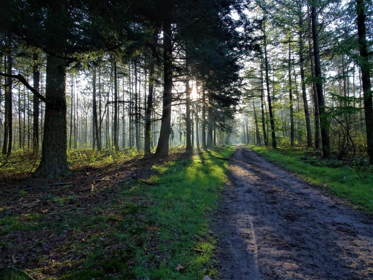 Veluwe Park Reewold Chalet Infinity Putten Eksteriør billede