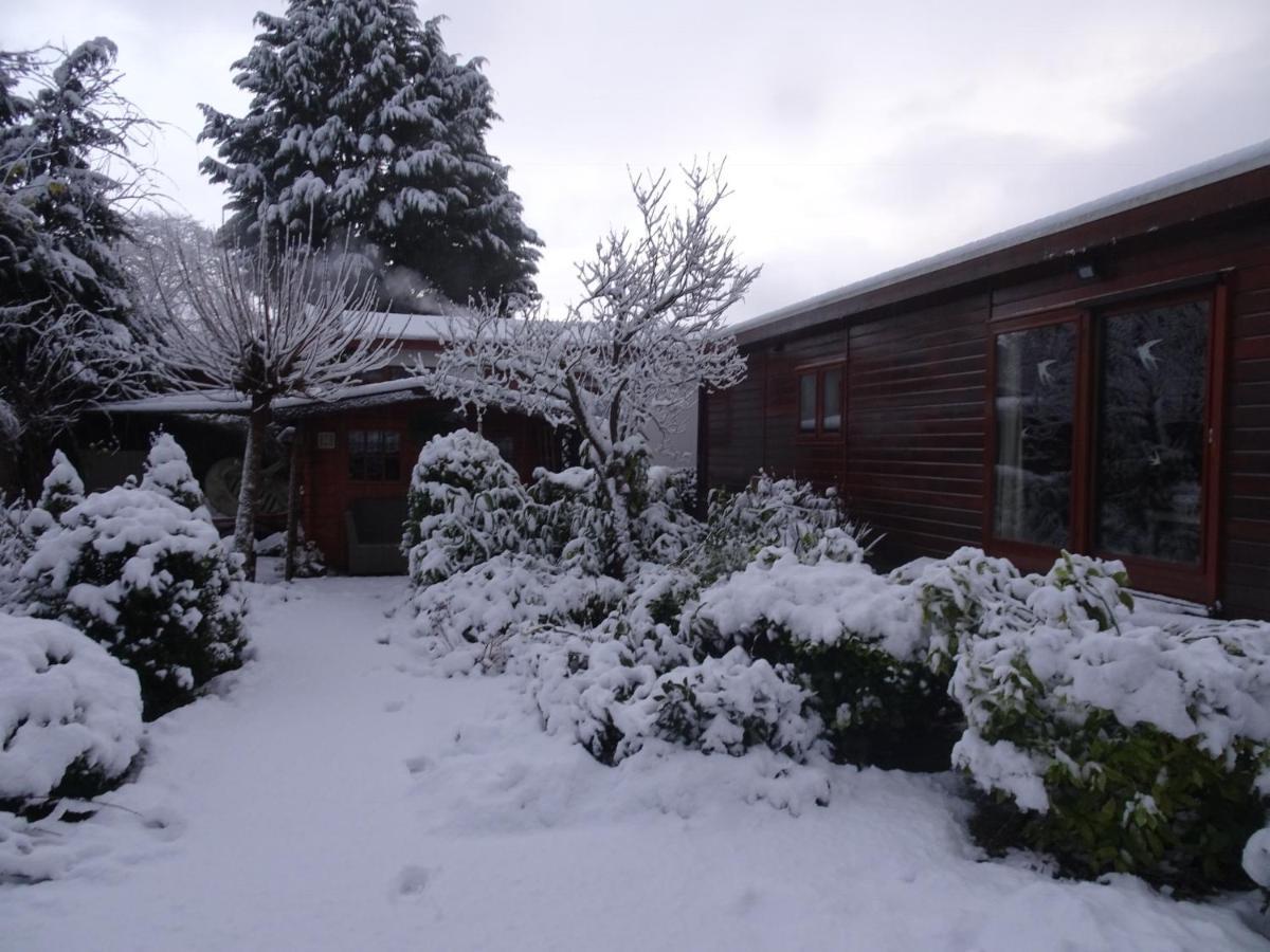 Veluwe Park Reewold Chalet Infinity Putten Eksteriør billede